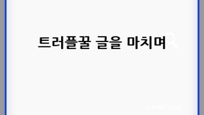 트러플꿀의 모든 것: 종류, 효능, 선택 방법까지!